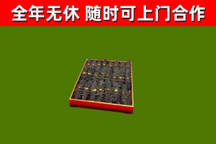 城北回收海参